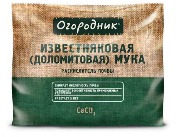 Гейхера многолетняя – когда листья важнее цветов: описание, посадка в открытом грунте, уход (80+ Фото & Видео) +Отзывы