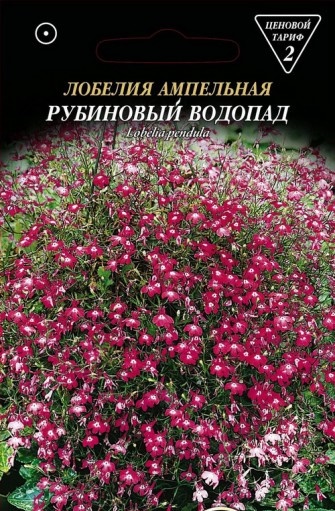 Лобелия: описание, посадка и уход, когда ее следует сеять, описание сортов (50 Фото & Видео) +Отзывы