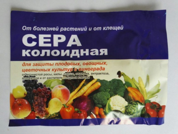 Азалии садовые: описание, сорта, посадка и уход в открытом грунте, подготовка к зимовке (50 Фото & Видео) +Отзывы