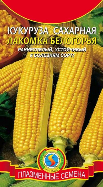 Посадка кукурузы в открытый грунт: как получить хороший урожай при минимальном уходе (25 Фото & Видео) +Отзывы